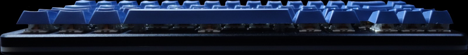 Front view (showing the exposed top halves of the switches)